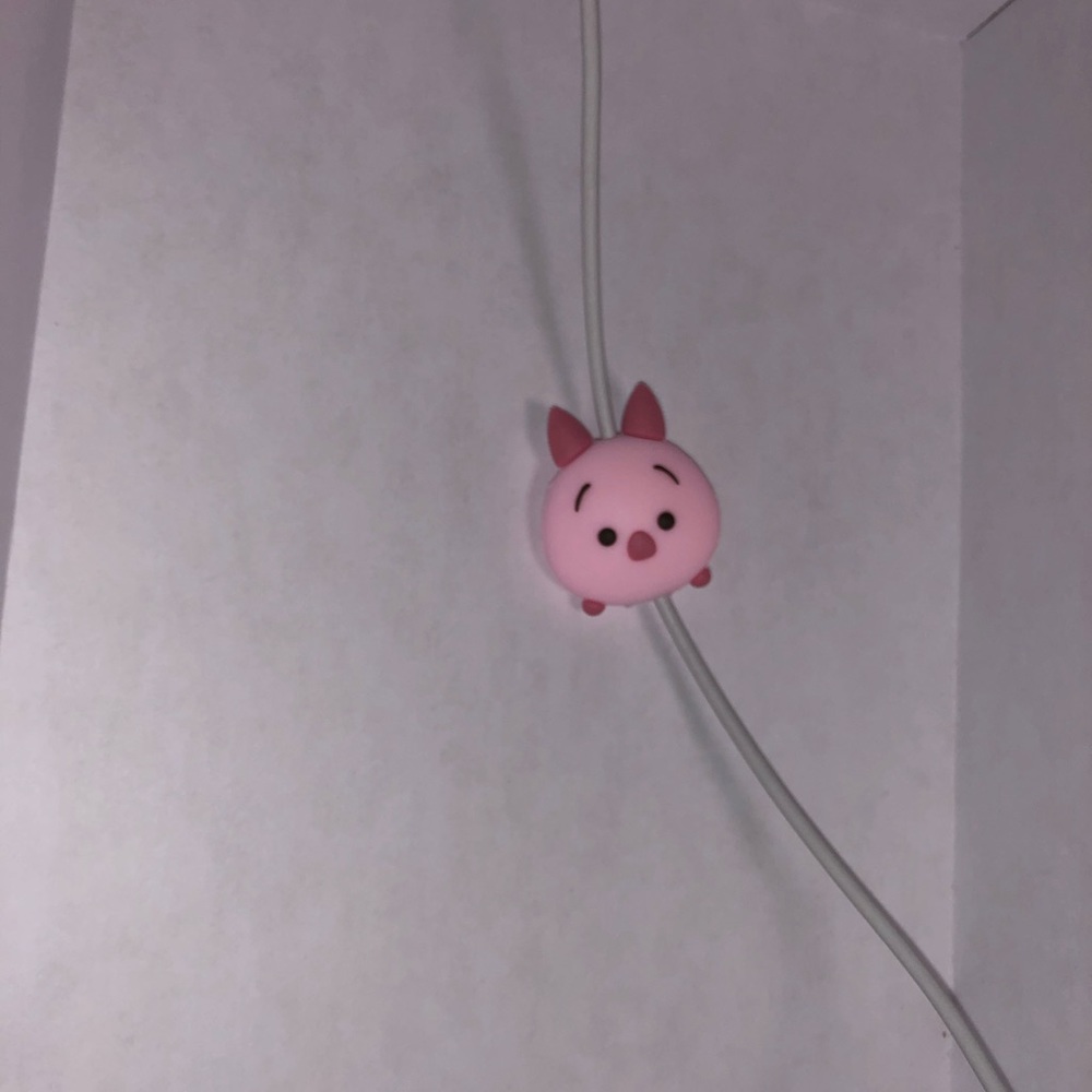 Cell phone cord protector (Cable Bites)